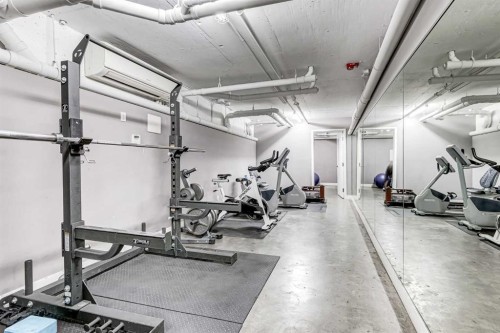 415-515 4 Avenue Ne, Calgary, AB - Indoor Photo Showing Gym Room