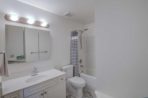 96 Hampstead Green Nw, Calgary, AB - Indoor Photo Showing Bathroom
