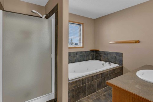 111 Hillview Road, Strathmore, AB - Indoor Photo Showing Bathroom