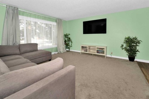 1059 Pinecliff Drive Ne, Calgary, AB - Indoor Photo Showing Living Room