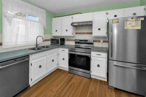 1059 Pinecliff Drive Ne, Calgary, AB - Indoor Photo Showing Kitchen With Double Sink