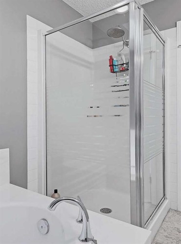 3-119 23 Avenue Ne, Calgary, AB - Indoor Photo Showing Bathroom