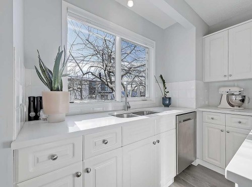 3-119 23 Avenue Ne, Calgary, AB - Indoor Photo Showing Kitchen With Double Sink