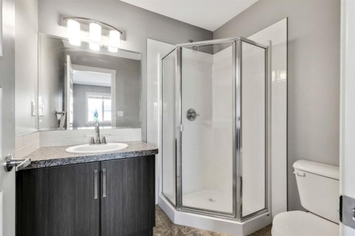 220 Mckenzie Towne Close Se, Calgary, AB - Indoor Photo Showing Bathroom