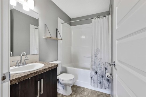 220 Mckenzie Towne Close Se, Calgary, AB - Indoor Photo Showing Bathroom