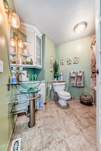 274 Templeview Way Ne, Calgary, AB - Indoor Photo Showing Bathroom