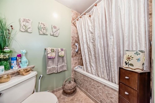 274 Templeview Way Ne, Calgary, AB - Indoor Photo Showing Bathroom