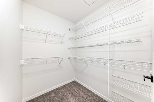 31 Creekside Grove Sw, Calgary, AB - Indoor With Storage
