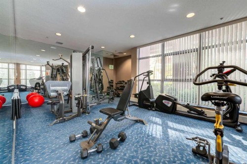 604-650 10 Street Sw, Calgary, AB - Indoor Photo Showing Gym Room