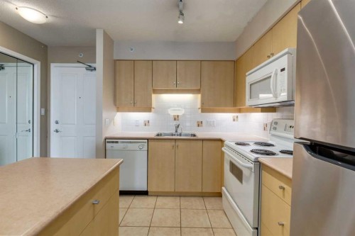 604-650 10 Street Sw, Calgary, AB - Indoor Photo Showing Kitchen With Double Sink