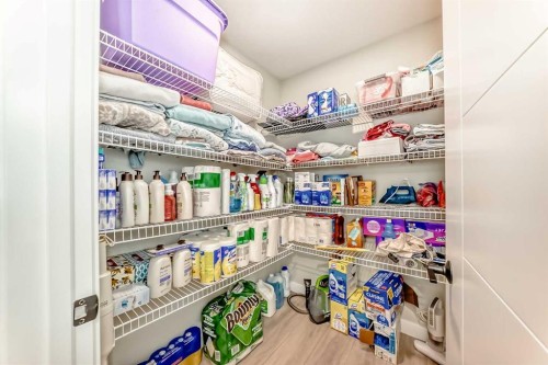 120 Magnolia Manor Se, Calgary, AB - Indoor With Storage