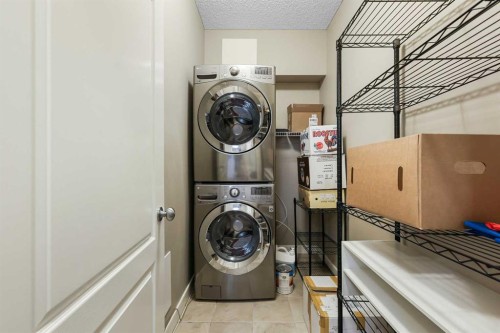 313-20 Discovery Ridge Close Sw, Calgary, AB - Indoor Photo Showing Laundry Room