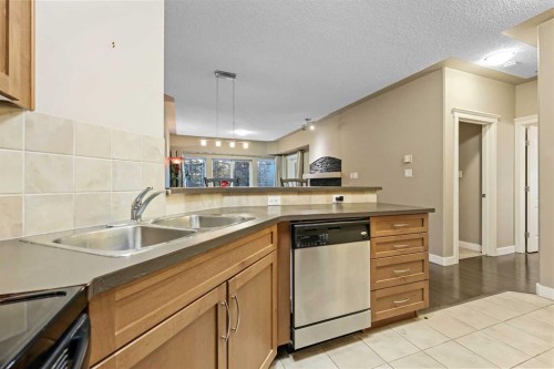 313-20 Discovery Ridge Close Sw, Calgary, AB - Indoor Photo Showing Kitchen With Double Sink