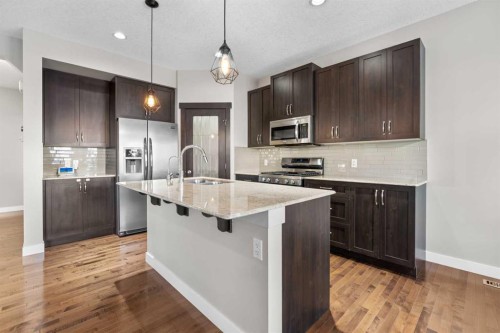 24 Panatella Square Nw, Calgary, AB - Indoor Photo Showing Kitchen With Double Sink With Upgraded Kitchen