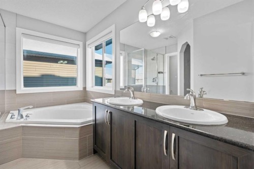 24 Panatella Square Nw, Calgary, AB - Indoor Photo Showing Bathroom
