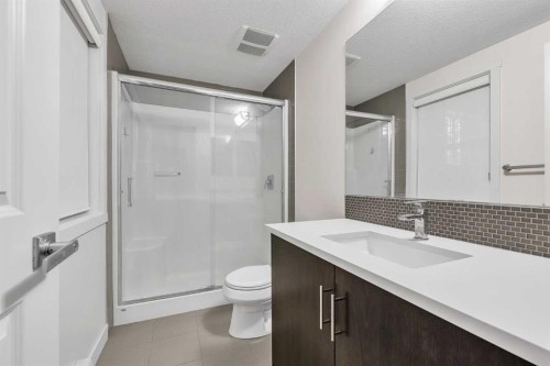 111-25 Auburn Meadows Avenue Se, Calgary, AB - Indoor Photo Showing Bathroom