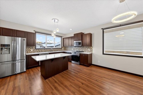 135 Skyview Springs Manor Ne, Calgary, AB - Indoor Photo Showing Kitchen With Stainless Steel Kitchen With Upgraded Kitchen