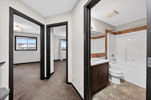 135 Skyview Springs Manor Ne, Calgary, AB - Indoor Photo Showing Bathroom