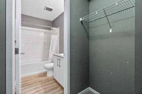 3115-4641 128 Avenue Ne, Calgary, AB - Indoor Photo Showing Bathroom