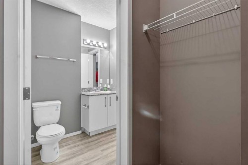 3115-4641 128 Avenue Ne, Calgary, AB - Indoor Photo Showing Bathroom
