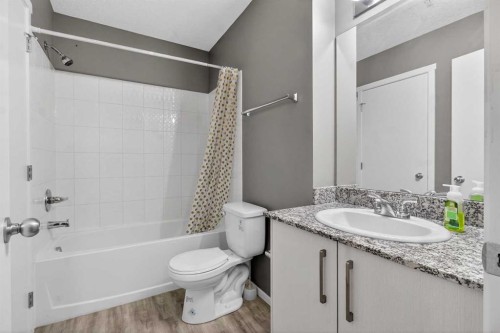 3115-4641 128 Avenue Ne, Calgary, AB - Indoor Photo Showing Bathroom