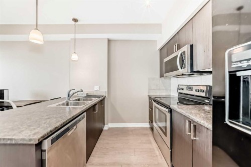 311-117 Copperpond Common Se, Calgary, AB - Indoor Photo Showing Kitchen With Double Sink With Upgraded Kitchen