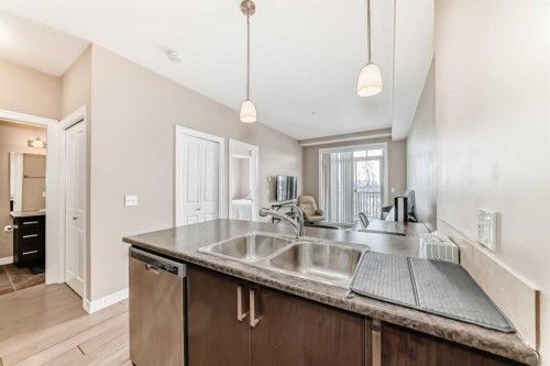 311-117 Copperpond Common Se, Calgary, AB - Indoor Photo Showing Kitchen With Double Sink