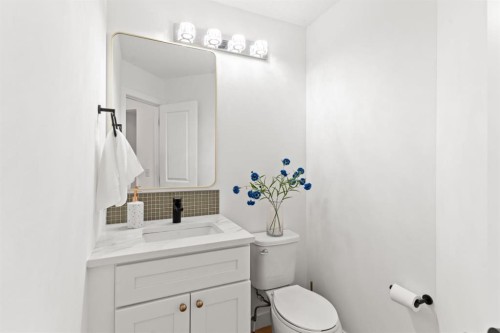 111 Macewan Glen Close Nw, Calgary, AB - Indoor Photo Showing Bathroom