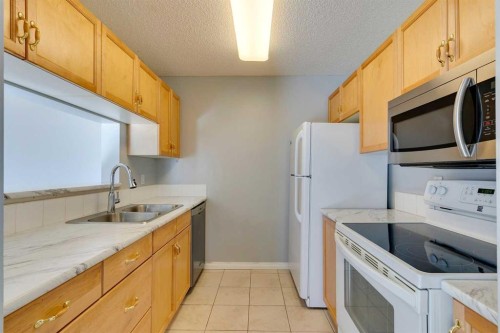 119-2022 Canyon Meadows Drive Se, Calgary, AB - Indoor Photo Showing Kitchen With Double Sink