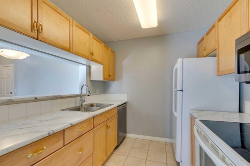 119-2022 Canyon Meadows Drive Se, Calgary, AB - Indoor Photo Showing Kitchen With Double Sink