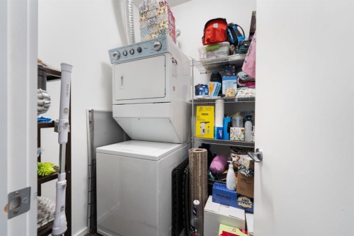 201-414 Meredith Road Ne, Calgary, AB - Indoor Photo Showing Laundry Room