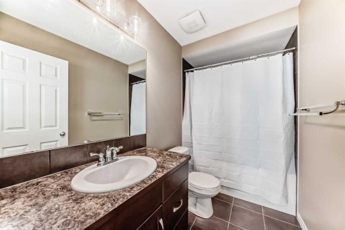 3019 Windsong Boulevard Sw, Airdrie, AB - Indoor Photo Showing Bathroom