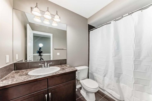 3019 Windsong Boulevard Sw, Airdrie, AB - Indoor Photo Showing Bathroom