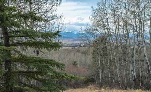 52 Uplands Way Sw, Rural Rocky View County, AB 