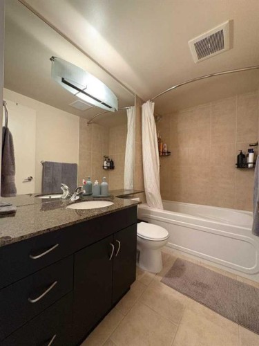 1315-8880 Horton Road Sw, Calgary, AB - Indoor Photo Showing Bathroom
