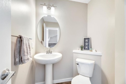 96 Auburn Meadows Boulevard Se, Calgary, AB - Indoor Photo Showing Bathroom