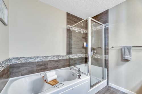 96 Auburn Meadows Boulevard Se, Calgary, AB - Indoor Photo Showing Bathroom