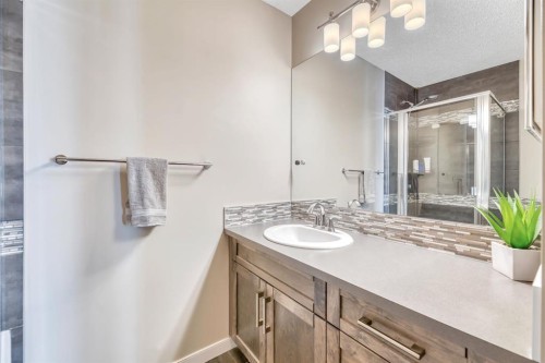 96 Auburn Meadows Boulevard Se, Calgary, AB - Indoor Photo Showing Bathroom