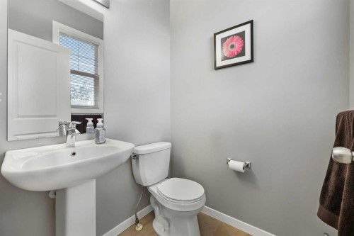 68 New Brighton Point Se, Calgary, AB - Indoor Photo Showing Bathroom