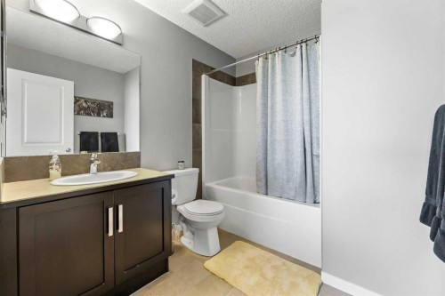 68 New Brighton Point Se, Calgary, AB - Indoor Photo Showing Bathroom