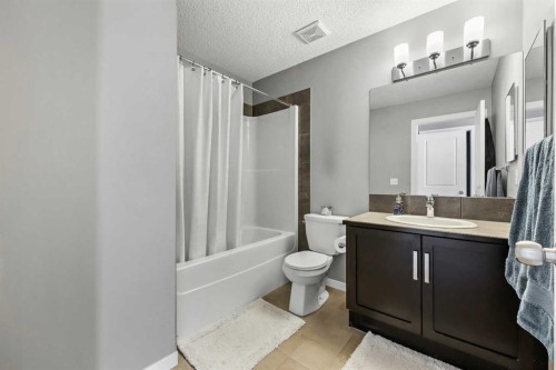 68 New Brighton Point Se, Calgary, AB - Indoor Photo Showing Bathroom