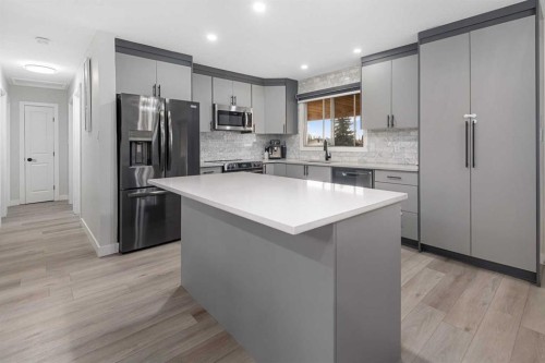 255 Rundleridge Drive Ne, Calgary, AB - Indoor Photo Showing Kitchen With Stainless Steel Kitchen With Upgraded Kitchen