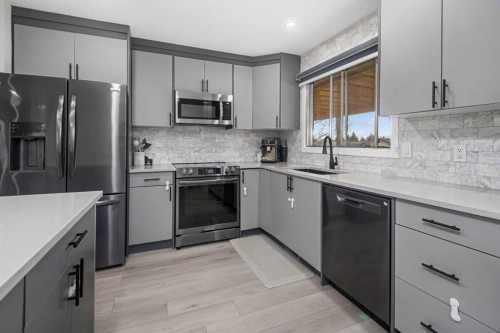 255 Rundleridge Drive Ne, Calgary, AB - Indoor Photo Showing Kitchen With Stainless Steel Kitchen With Upgraded Kitchen