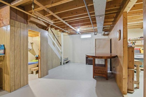 1207 Olympia Drive Se, Calgary, AB - Indoor Photo Showing Basement