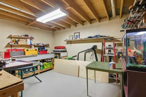 1207 Olympia Drive Se, Calgary, AB - Indoor Photo Showing Basement
