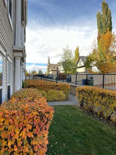 1411-5605 Henwood Street Sw, Calgary, AB - Outdoor