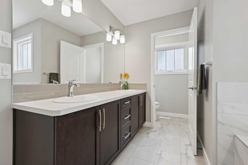 41 Seton Grove Se, Calgary, AB - Indoor Photo Showing Bathroom