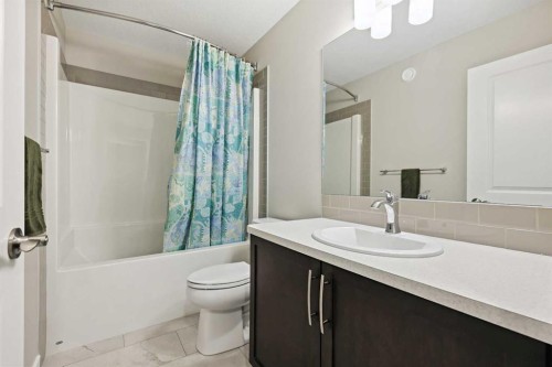 41 Seton Grove Se, Calgary, AB - Indoor Photo Showing Bathroom