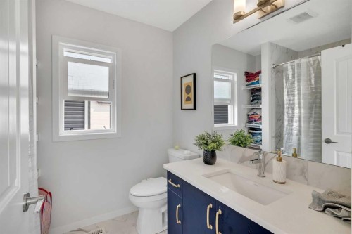 190 Dawson Harbour Rise, Chestermere, AB - Indoor Photo Showing Bathroom