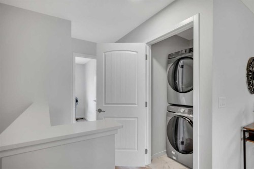 190 Dawson Harbour Rise, Chestermere, AB - Indoor Photo Showing Laundry Room